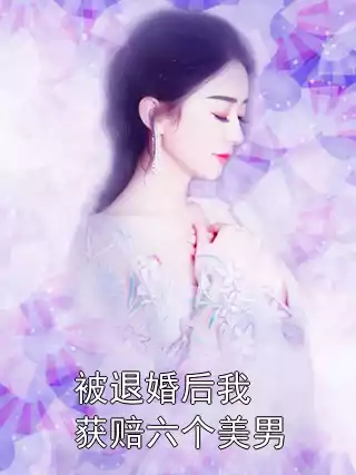 被退婚后我获赔六个美男小说