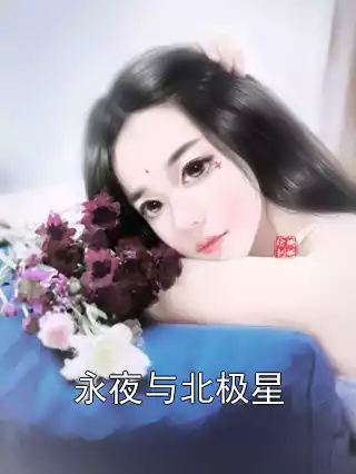 永夜与北极星