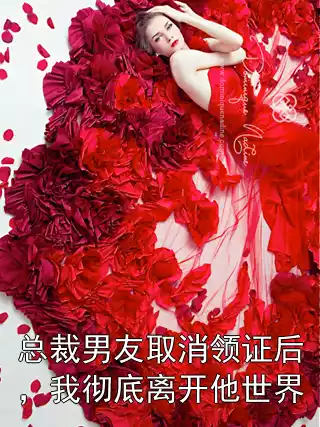 总裁男友取消领证后，我彻底离开他世界小说