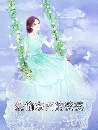 爱偷东西的婆婆