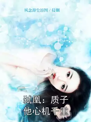 弑凰：质子他心机千重小说