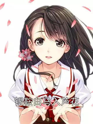 银鞍白马入芦花小说