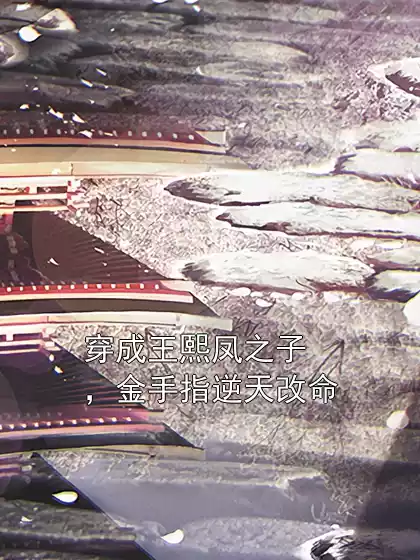 穿成王熙凤之子，金手指逆天改命小说