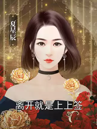 离开就是上上签小说