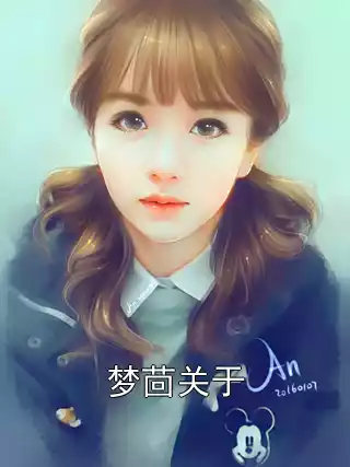 梦茴关于小说