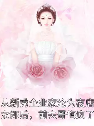 从新秀企业家沦为夜店女郎后，前夫哥悔疯了小说