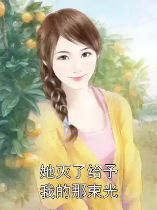 她灭了给予我的那束光小说